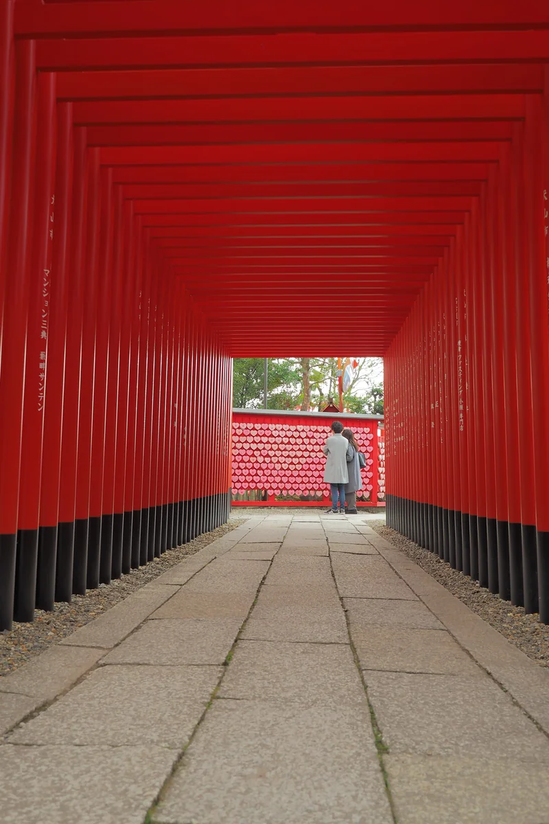 投稿写真：紅い回廊