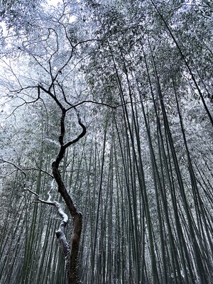  | 絶景事典