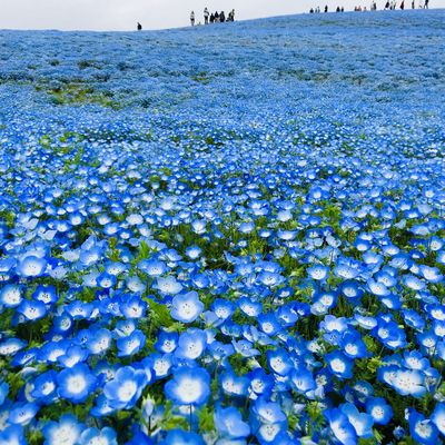  | 絶景事典
