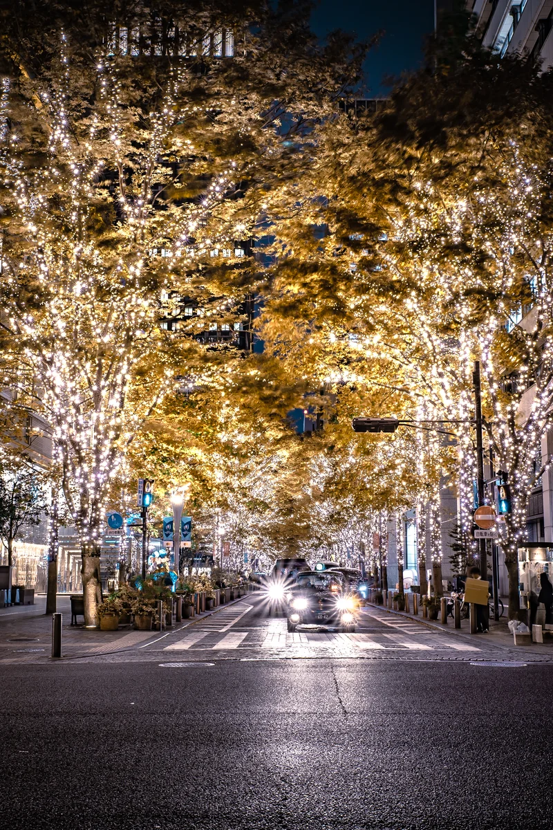 投稿写真：丸の内仲通り