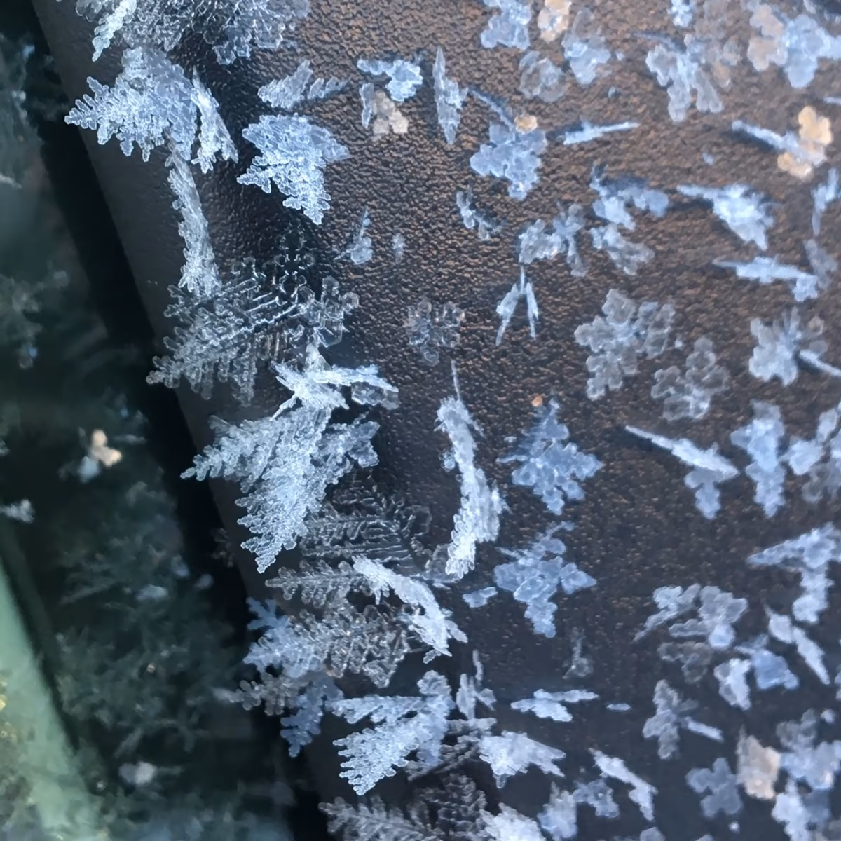 投稿写真：雪の結晶