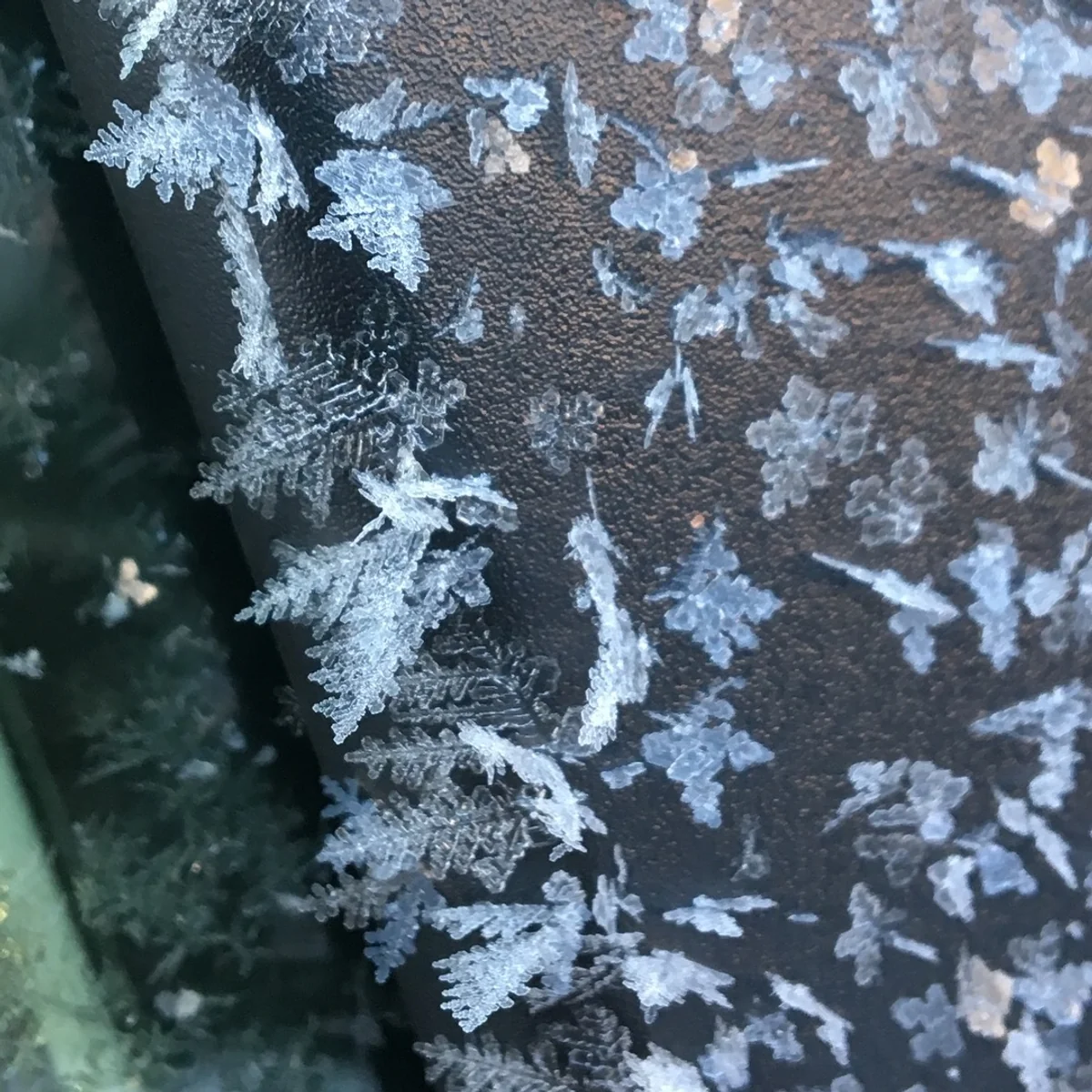 投稿写真：雪の結晶