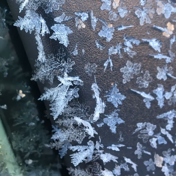 投稿：雪の結晶
