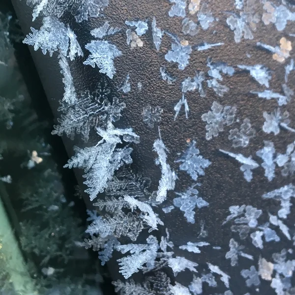 投稿：雪の結晶