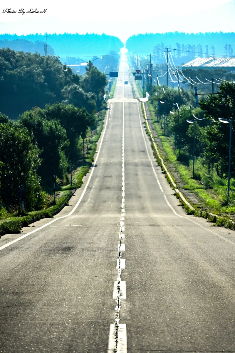 投稿写真：天に続く道