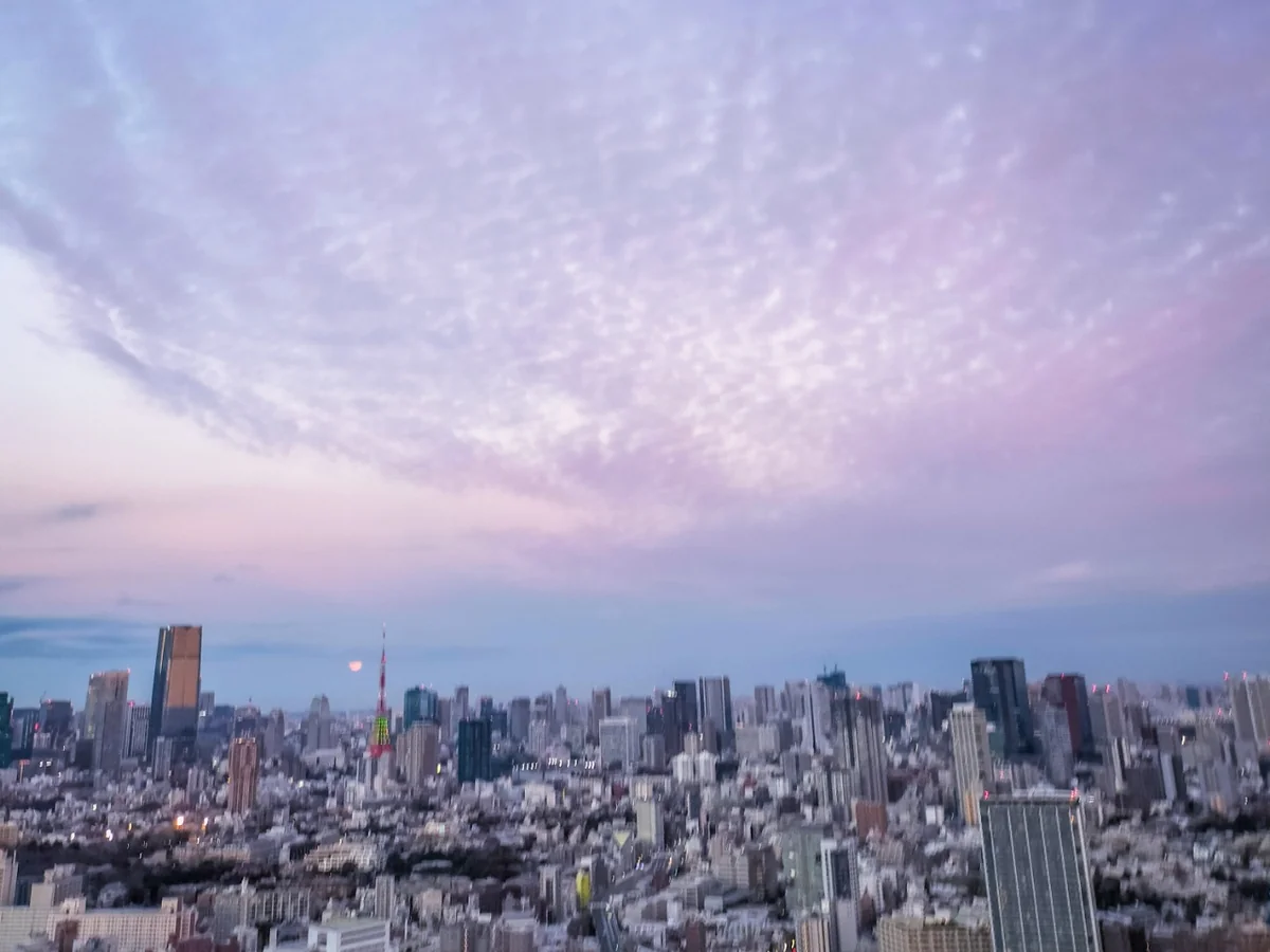 投稿写真：ピンクの羊雲とピンクのコールドムーン