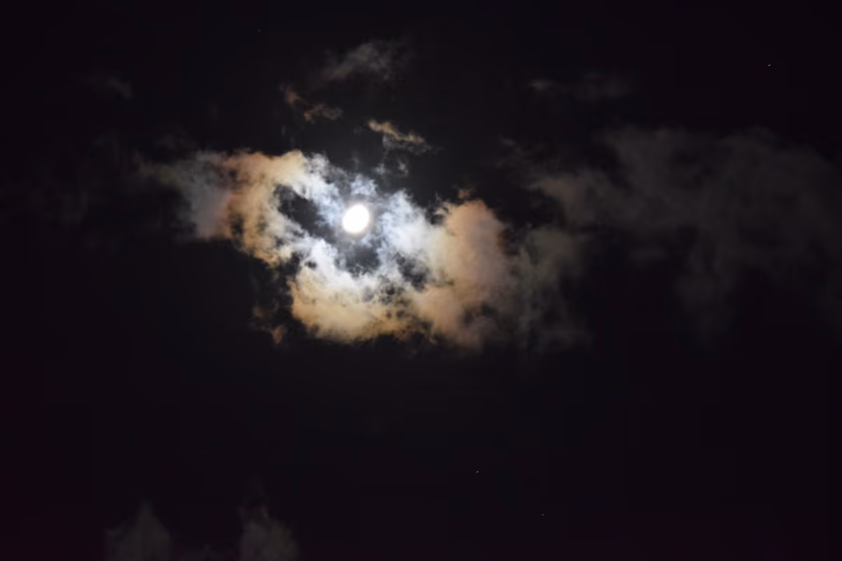 投稿写真：月あかり