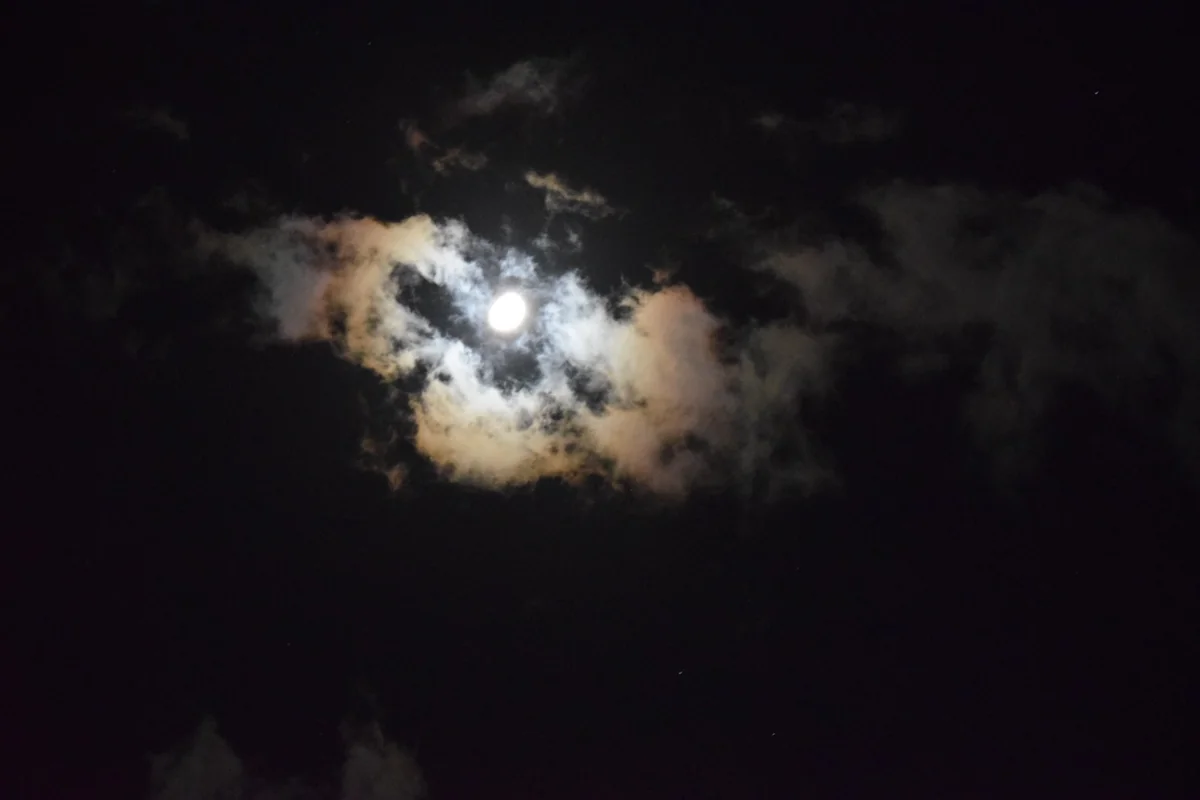 投稿写真：月あかり