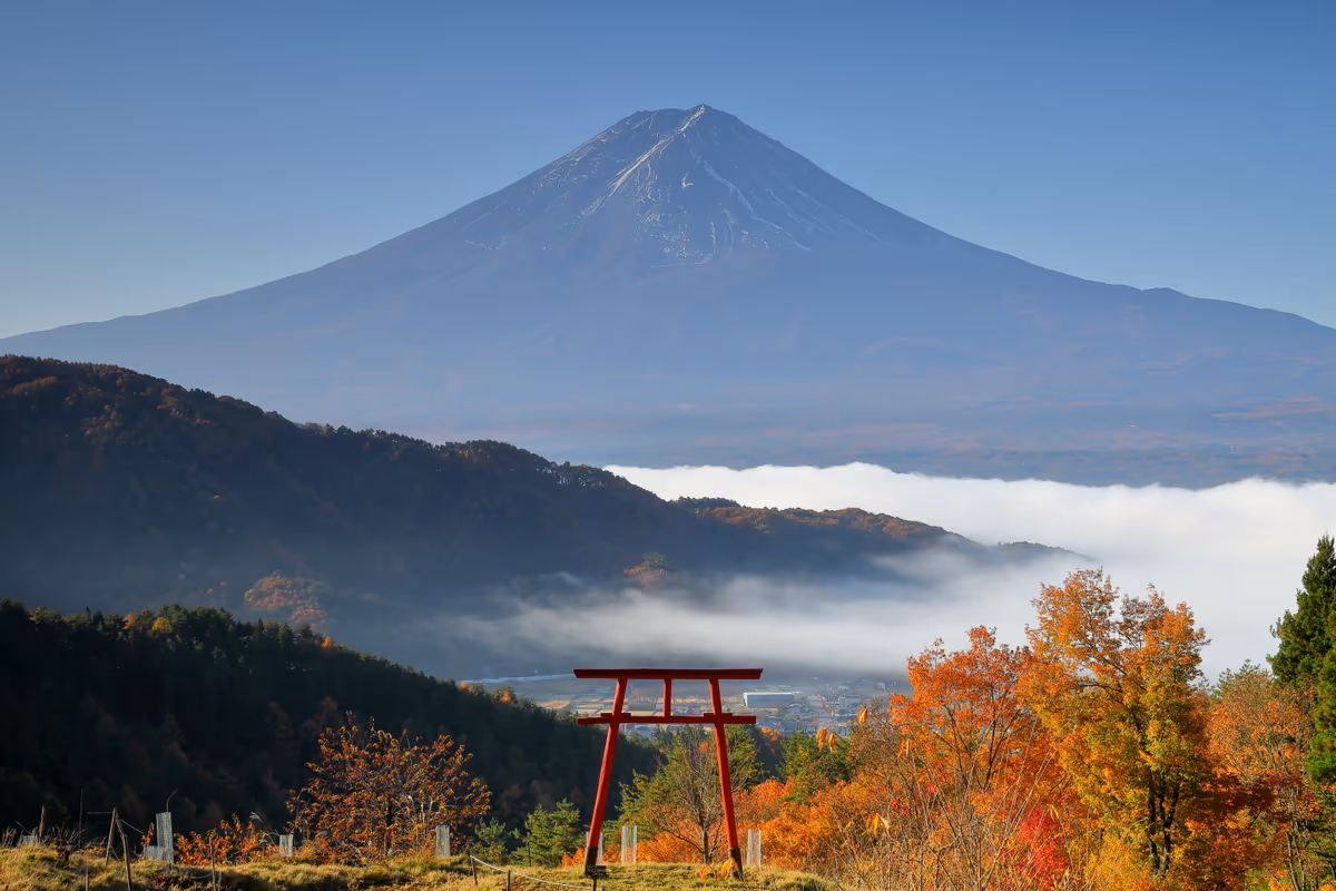 溝口 崇さんの投稿写真