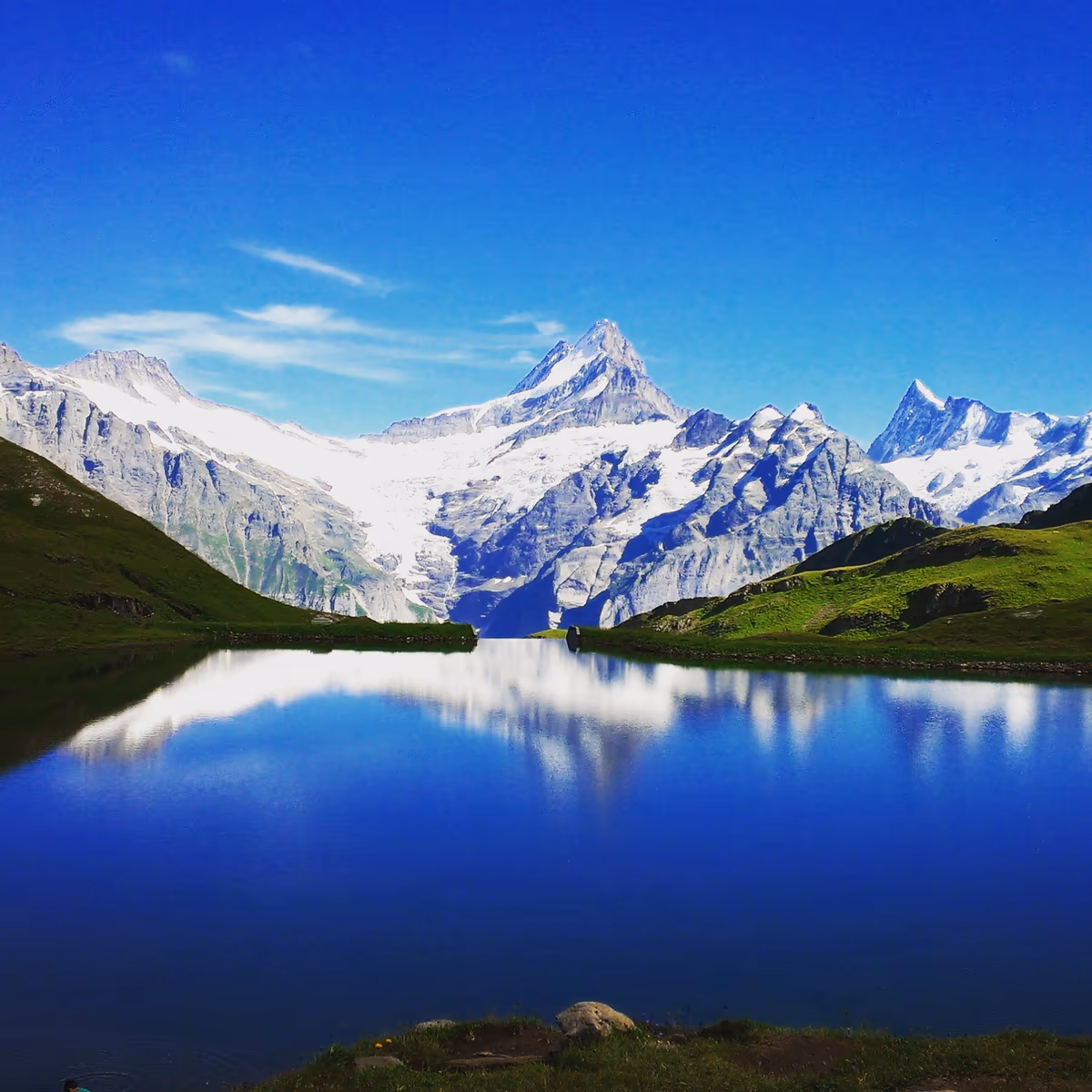 投稿写真：Bachalpsee lake