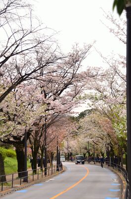  | 絶景事典