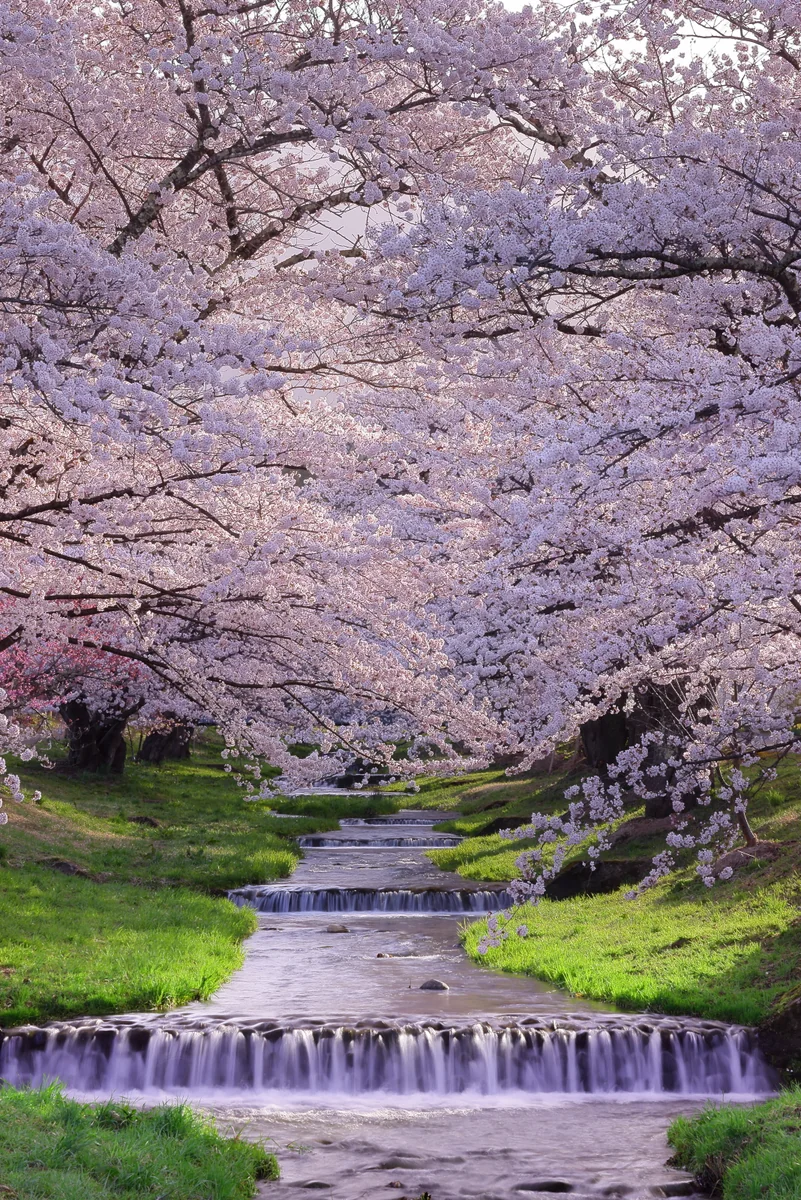 溝口 崇さんの投稿写真