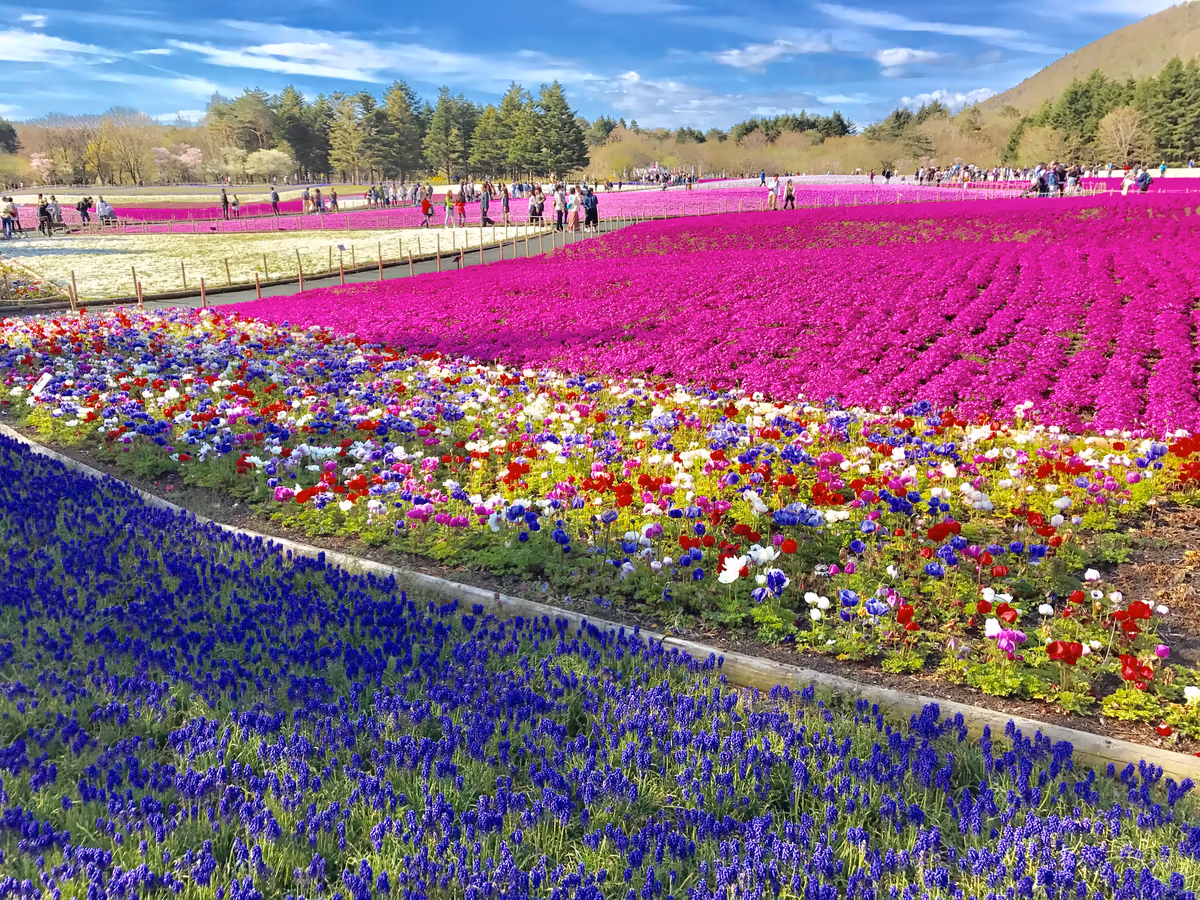 投稿写真：大地を染めた様々な色彩