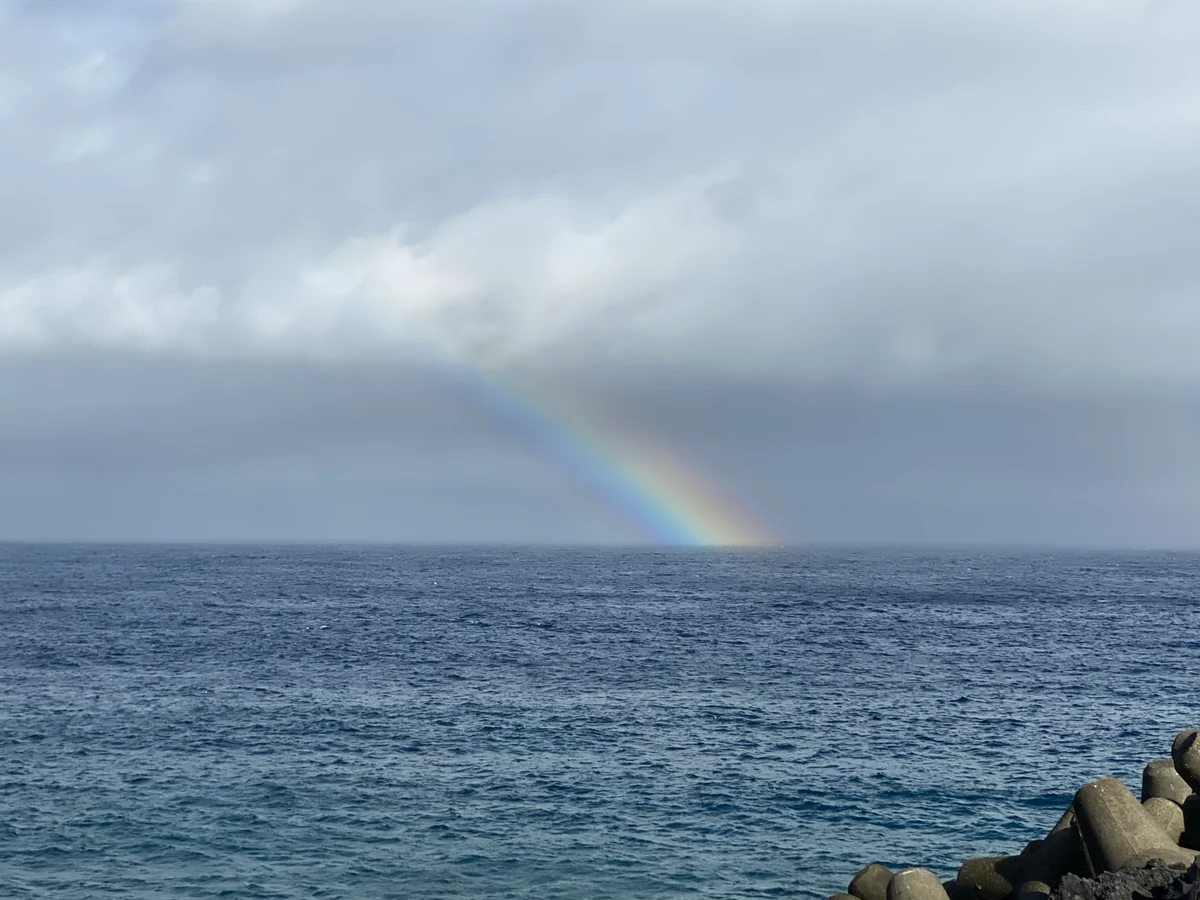 投稿写真：朝の虹