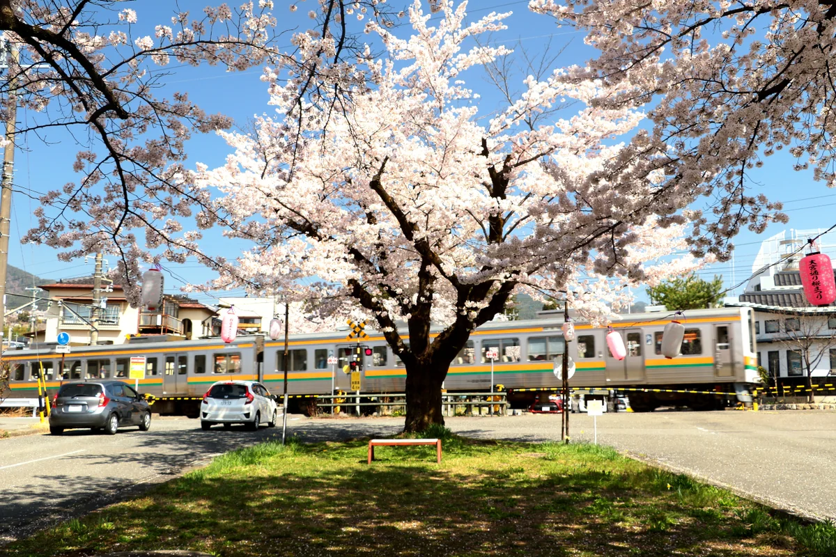 投稿写真：諏訪の大宮