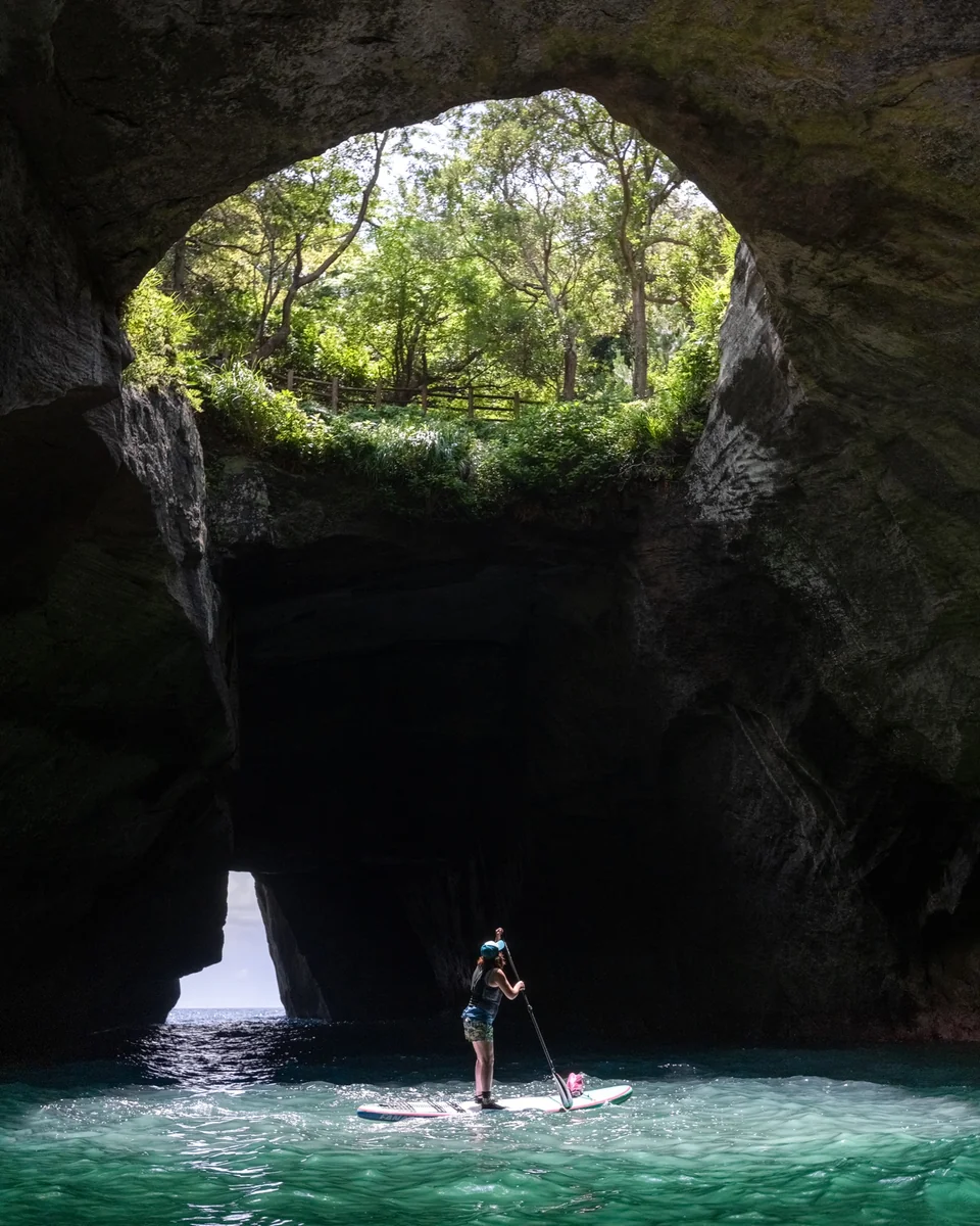 投稿写真：天仰ぐ光