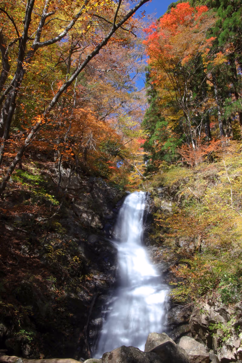 投稿写真：紅葉の寂光の滝