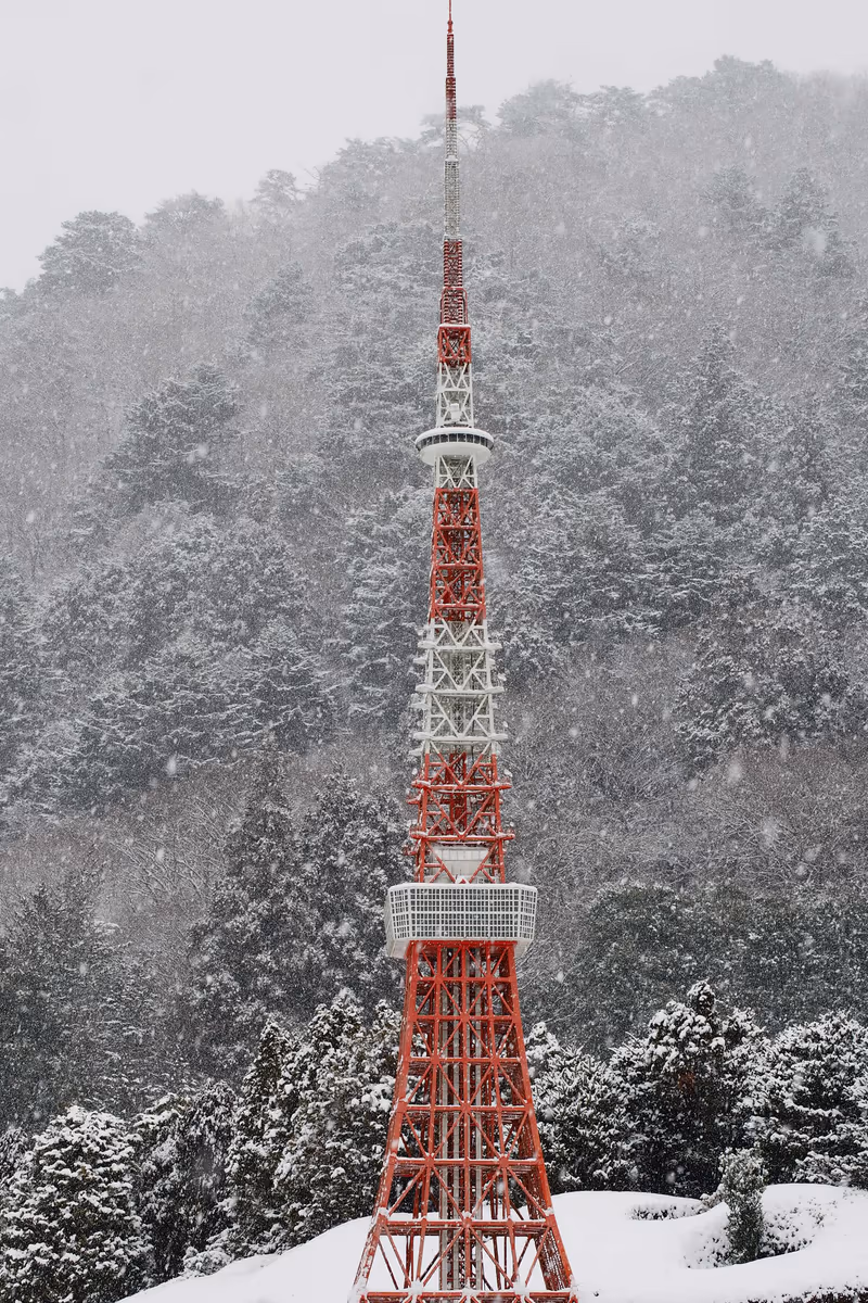 投稿写真：氷河期の東京タワー