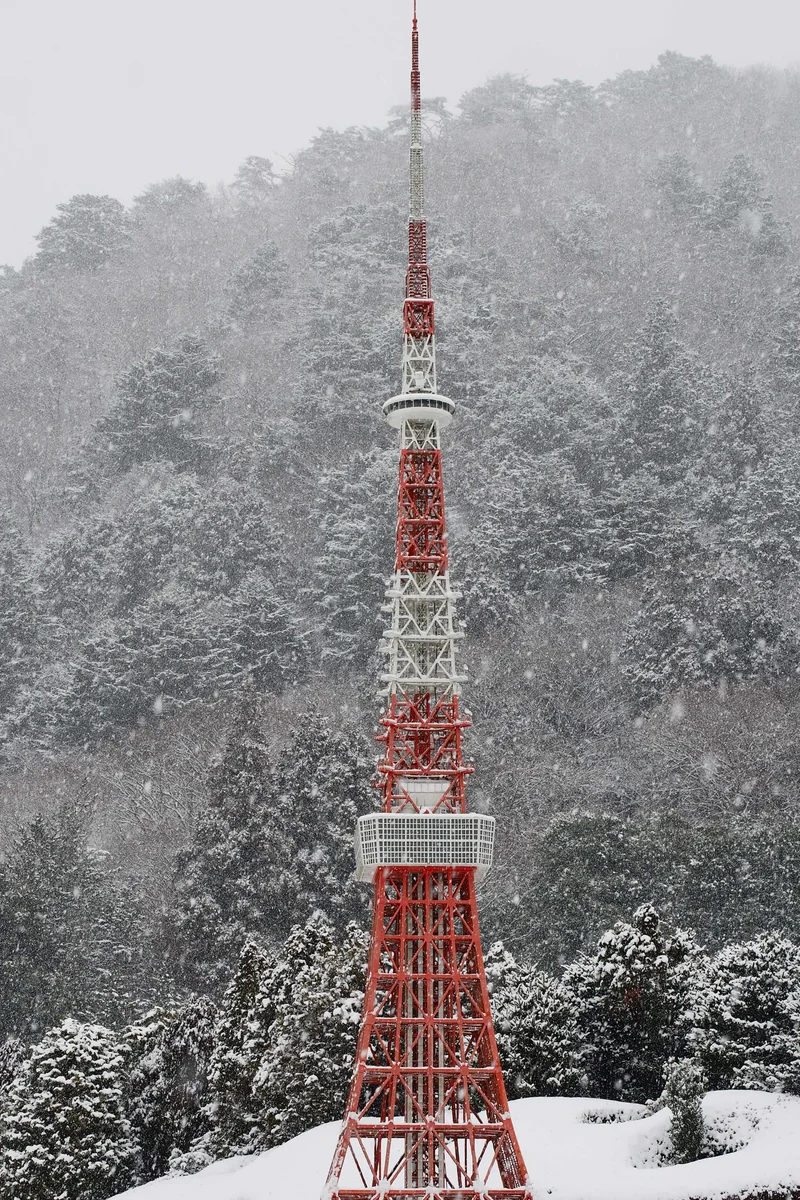 投稿写真：氷河期の東京タワー