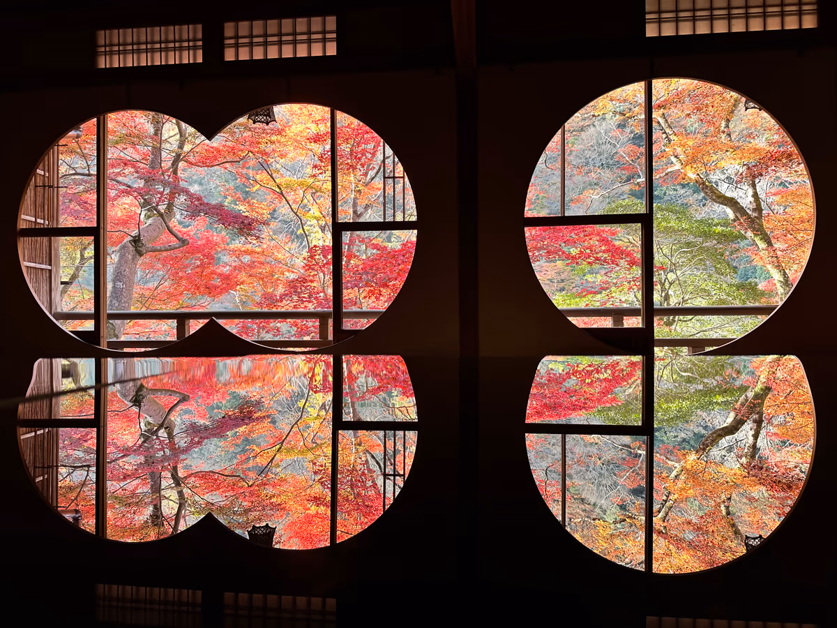 投稿写真：紅葉の窓