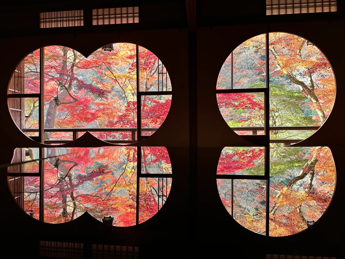 投稿写真：紅葉の窓