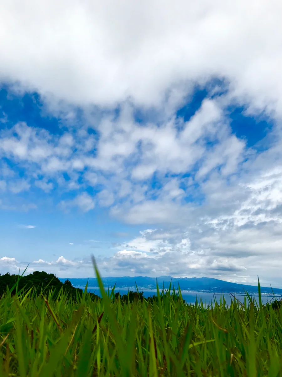 投稿写真：野原から見える大村湾