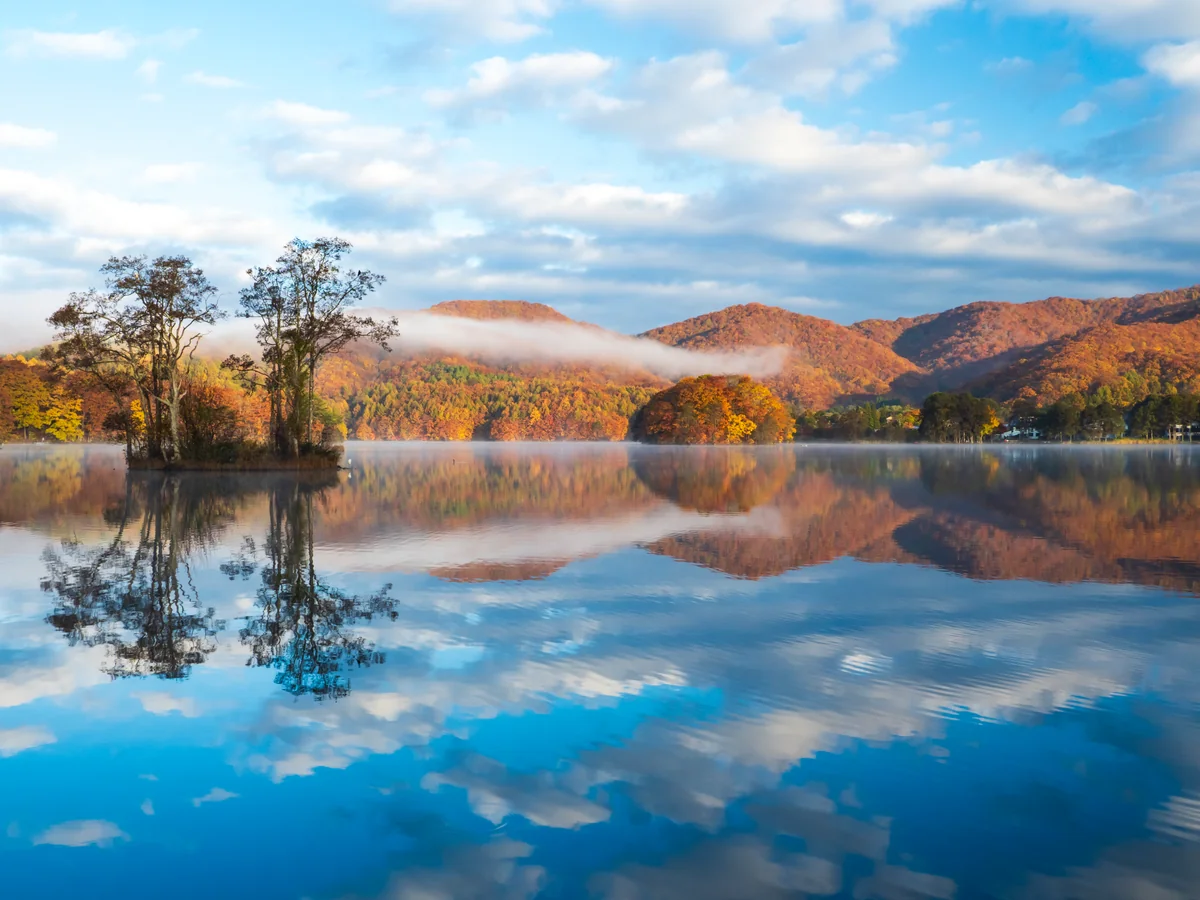 投稿写真：鏡の世界