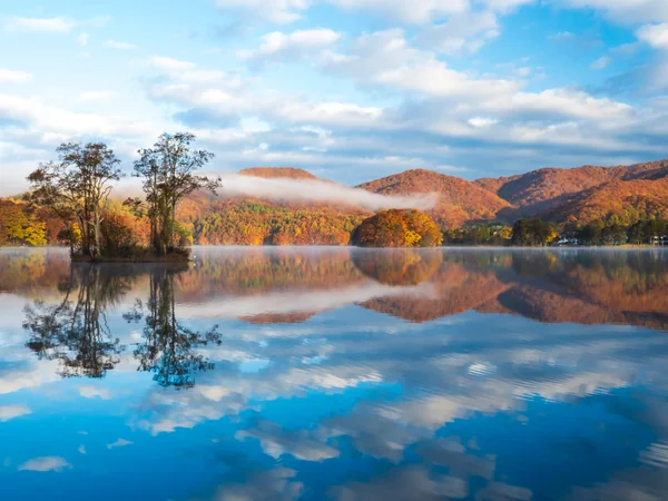 投稿：鏡の世界