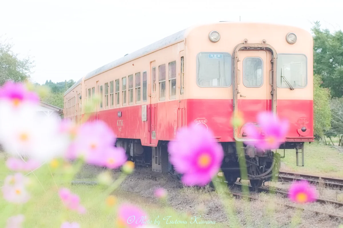投稿写真：秋の旅路は優しく♪