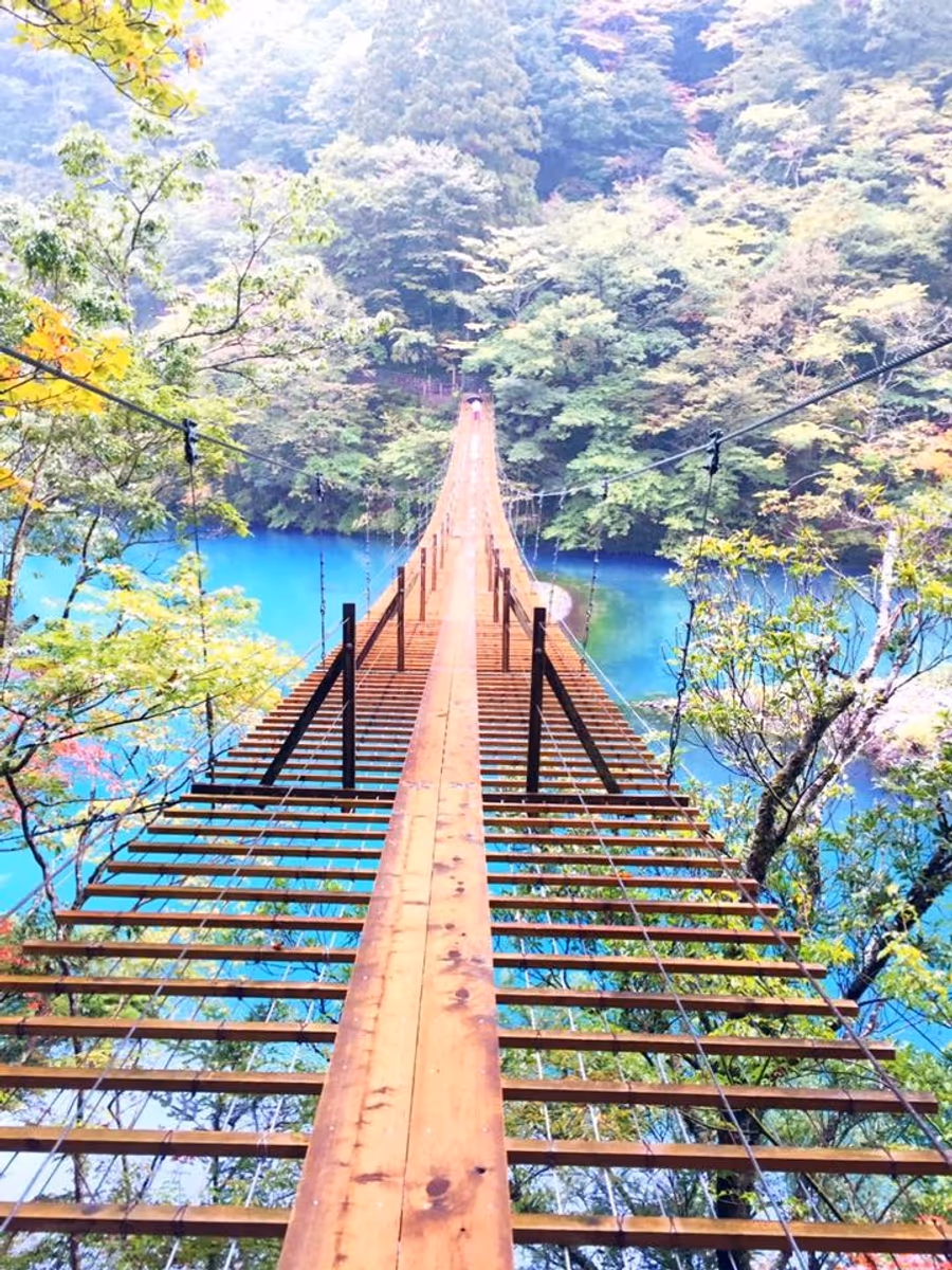 投稿写真：夢の吊り橋