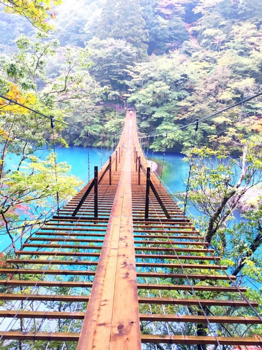 投稿写真：夢の吊り橋
