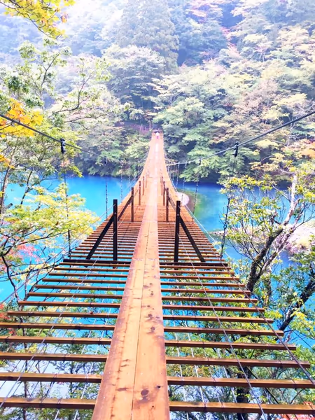 投稿：夢の吊り橋