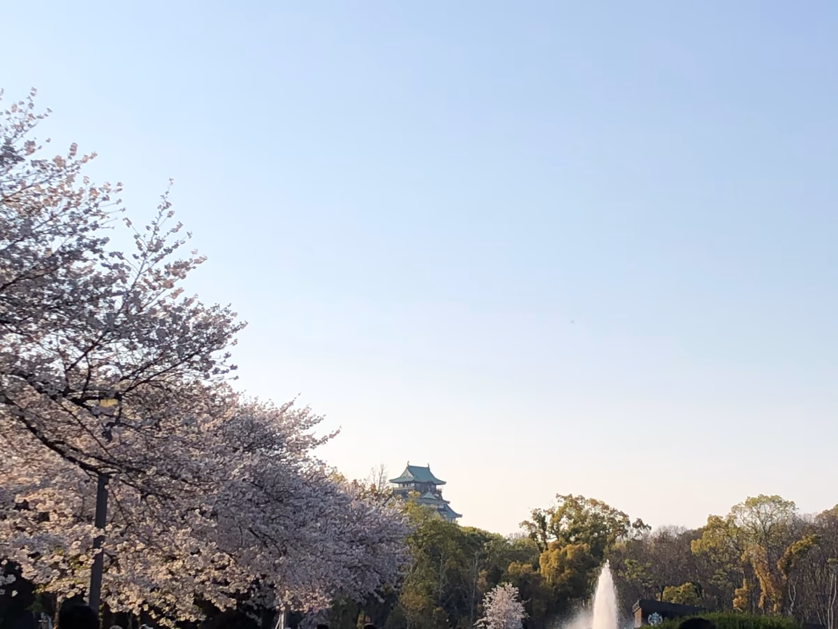 投稿写真：大阪城と桜