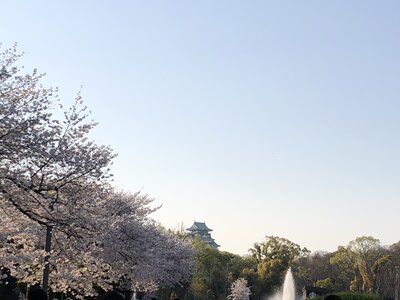  | 絶景事典