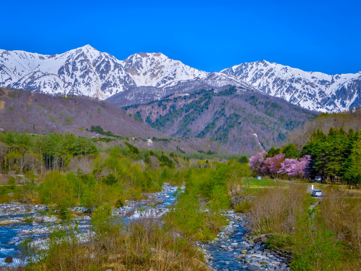 投稿写真：残雪の白馬三山と新緑