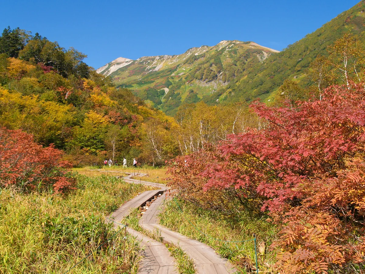 投稿写真：秋の栂池自然園