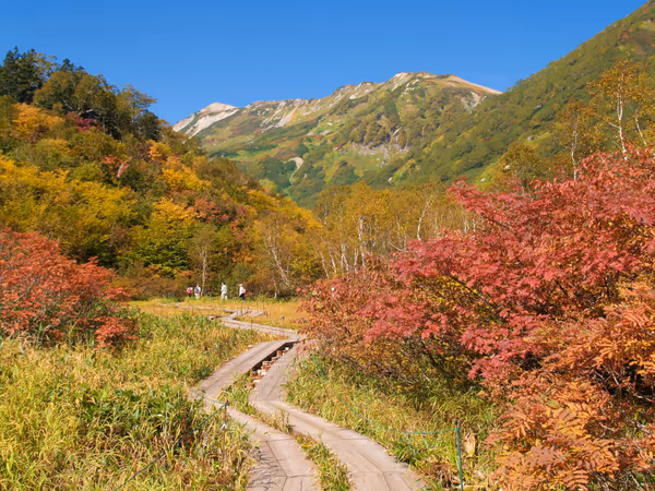 投稿：秋の栂池自然園