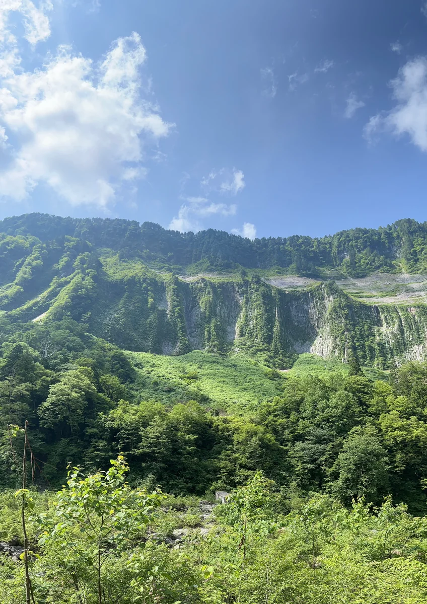 投稿写真：悪城壁