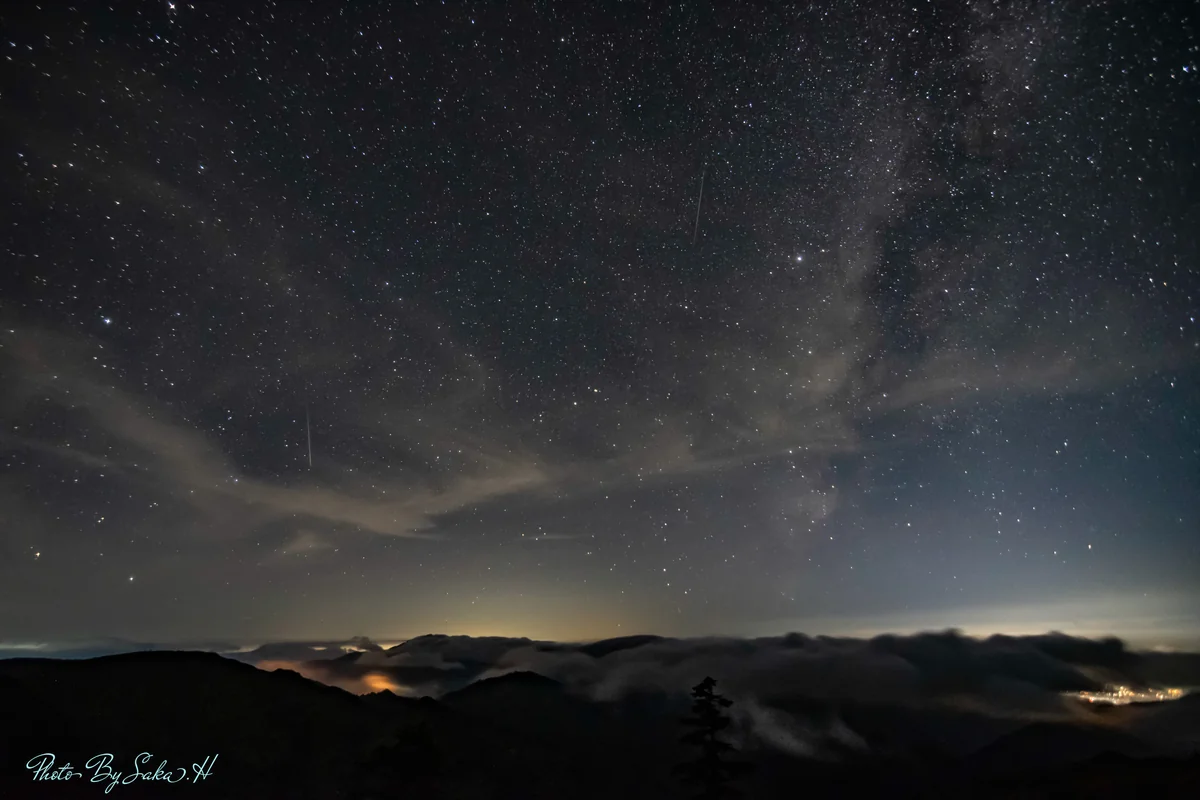 投稿写真：未明の競演
