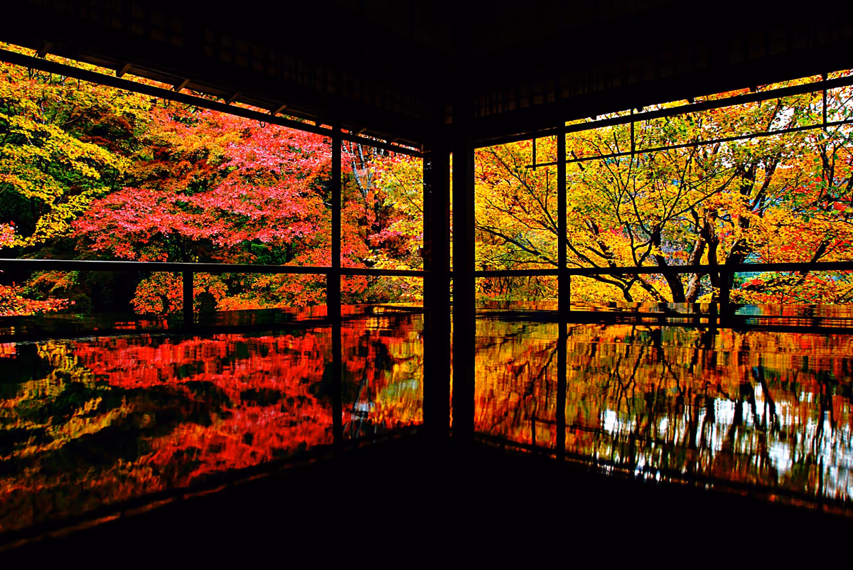 投稿写真：瑠璃光院。