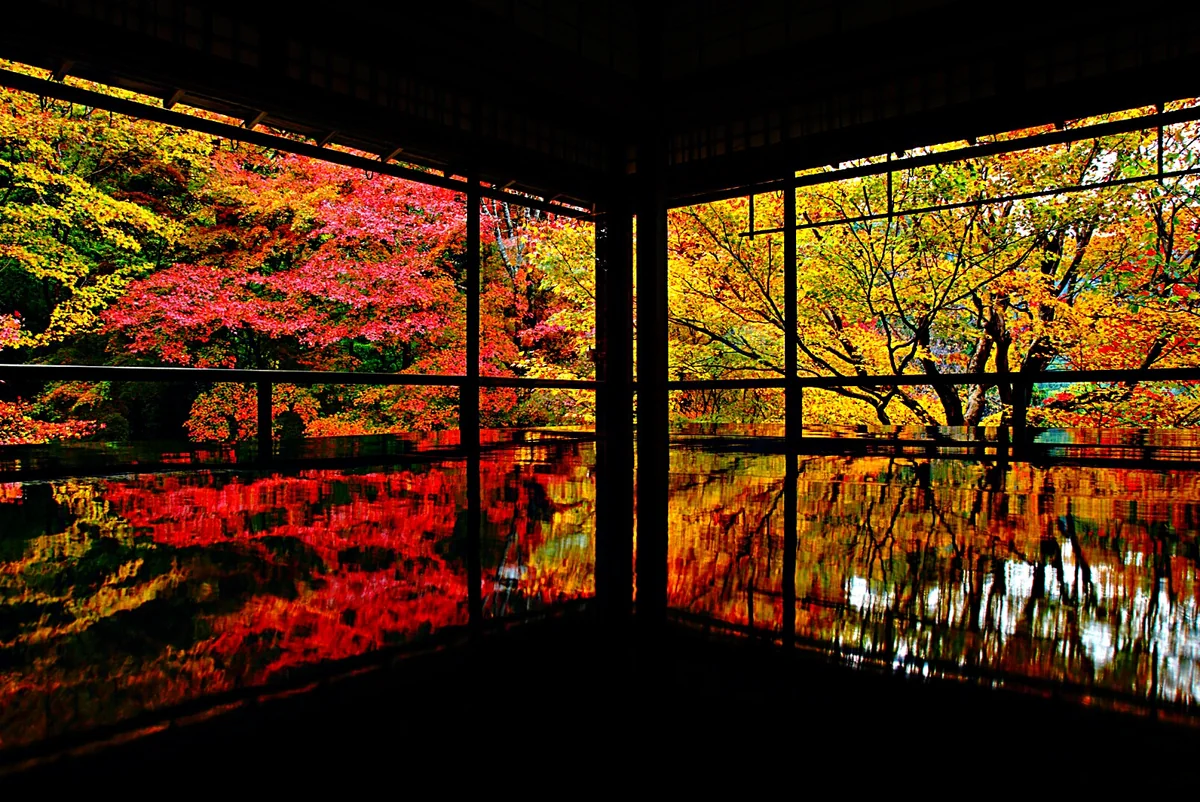 ツチモンさんの投稿写真