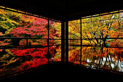  | 絶景事典