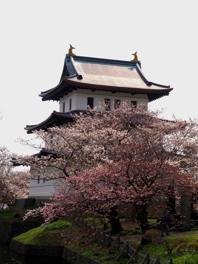  | 絶景事典