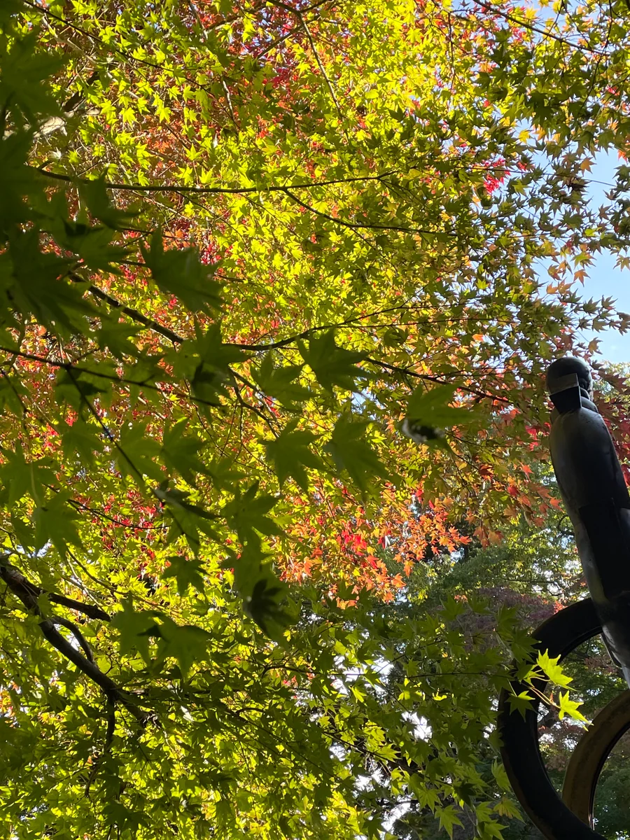 投稿写真：高尾山の紅葉