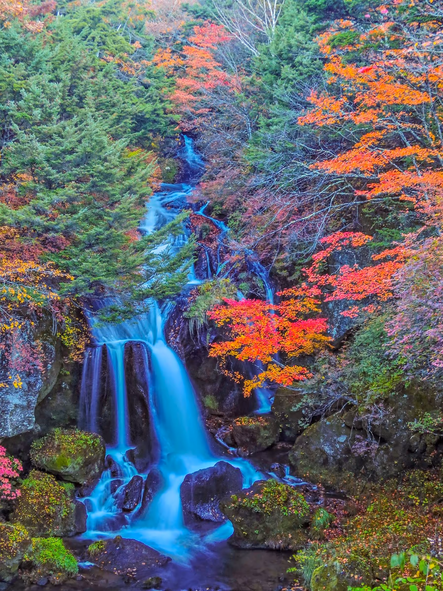 投稿写真：紅葉の竜頭の滝