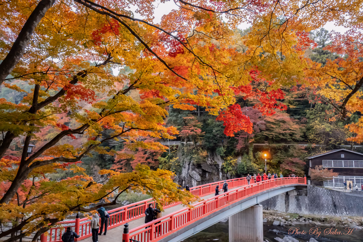 投稿写真：渡月橋