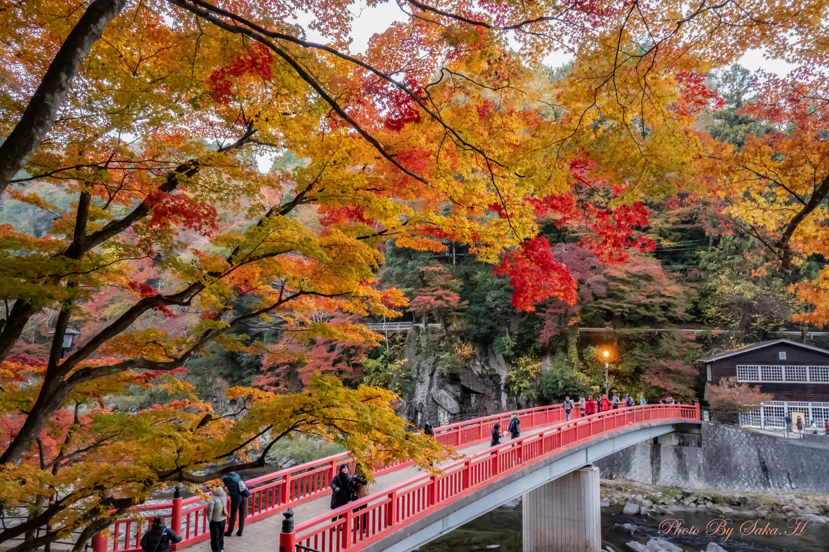 投稿写真：渡月橋