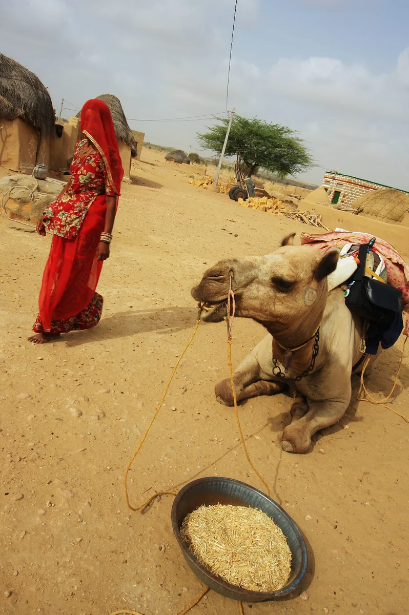 投稿写真：砂漠の暮らし