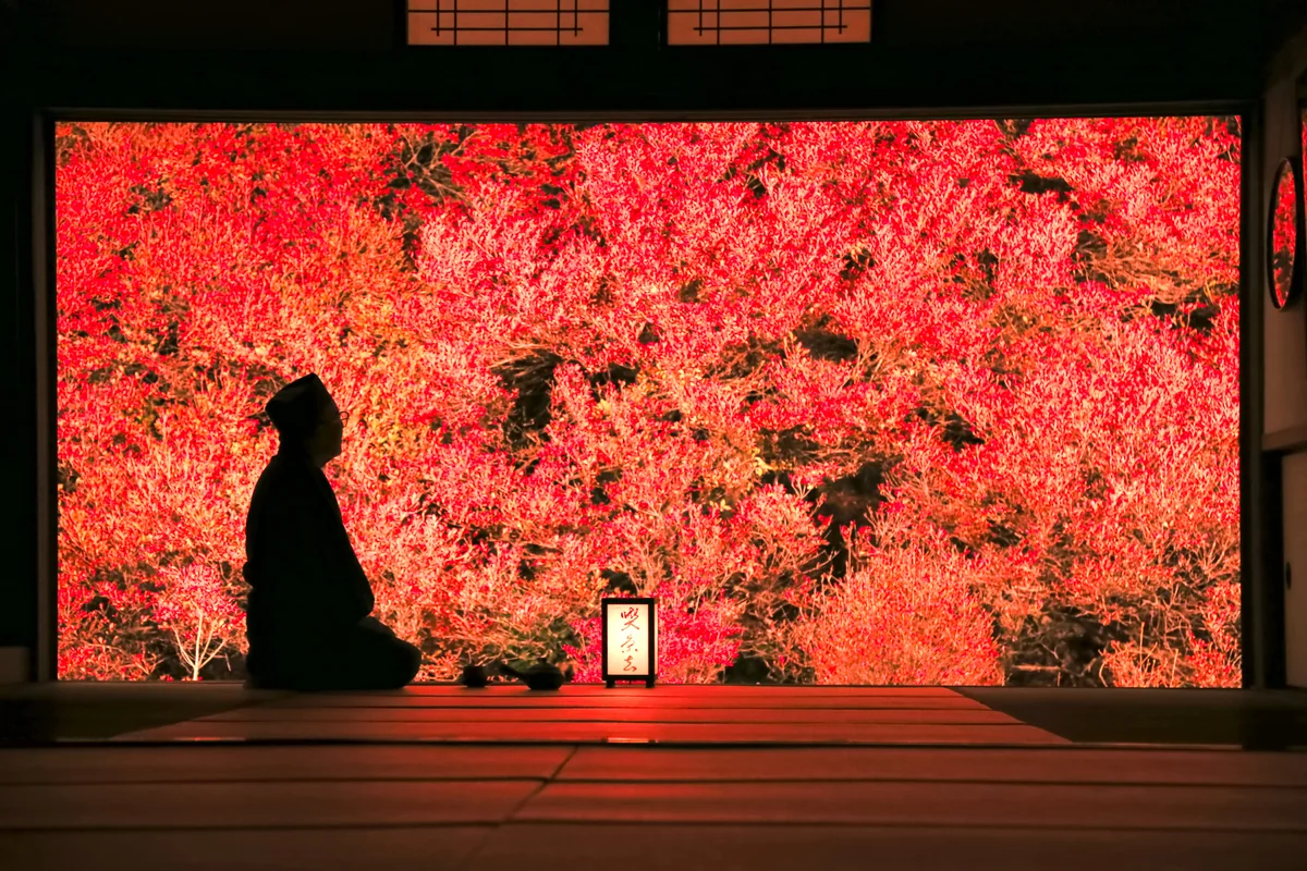 投稿写真：安国寺