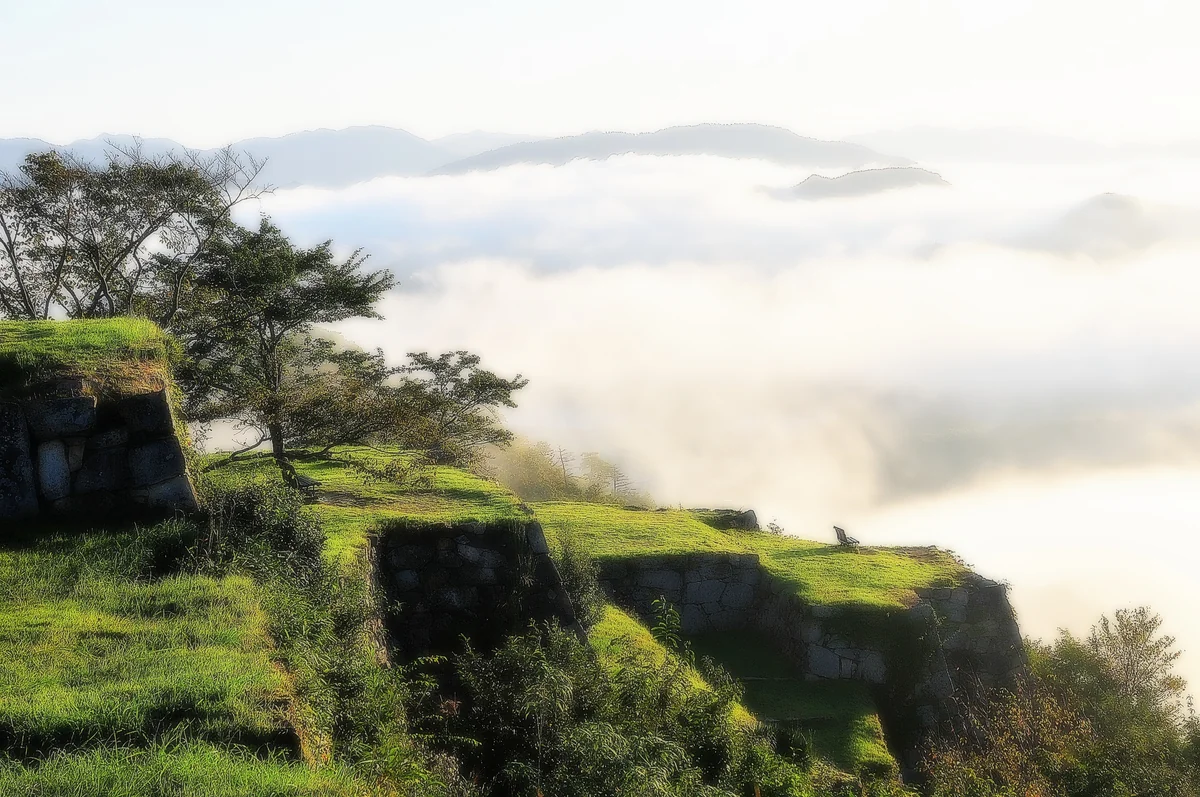 投稿写真：朝霧の竹田城址